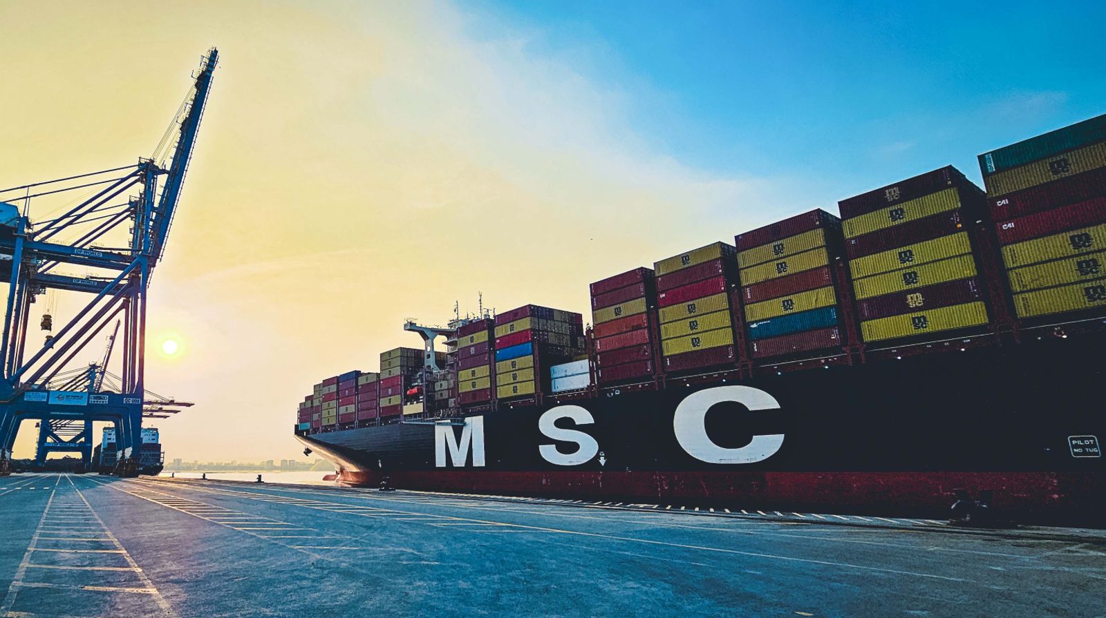 MSC juggles India-Europe network rotations amid Asia cargo rush