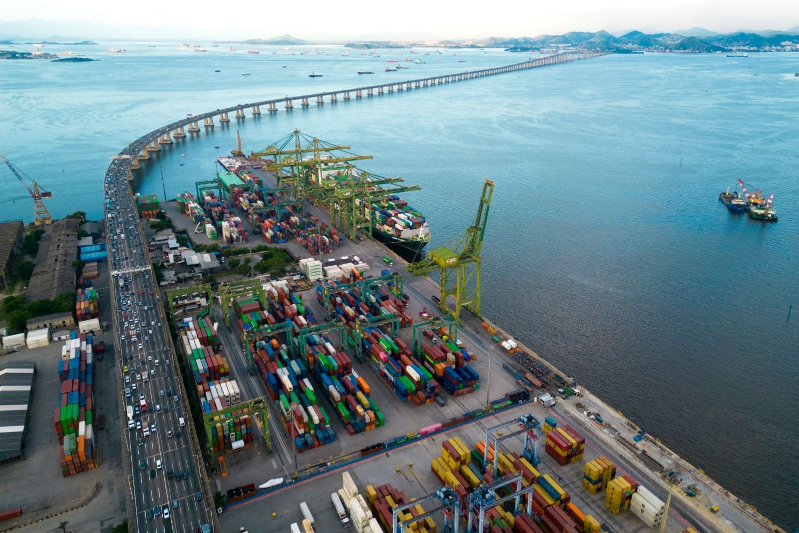 China-ECSA spot rates climb amid bullish market pressure