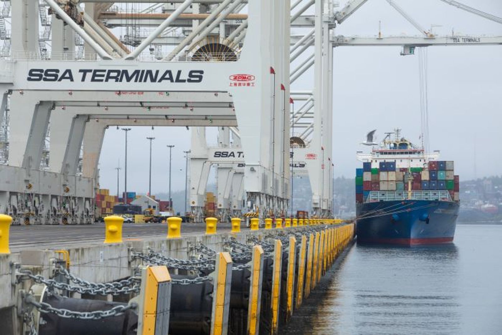UWL locks in new vessel partner for trans-Pacific Vietnam service