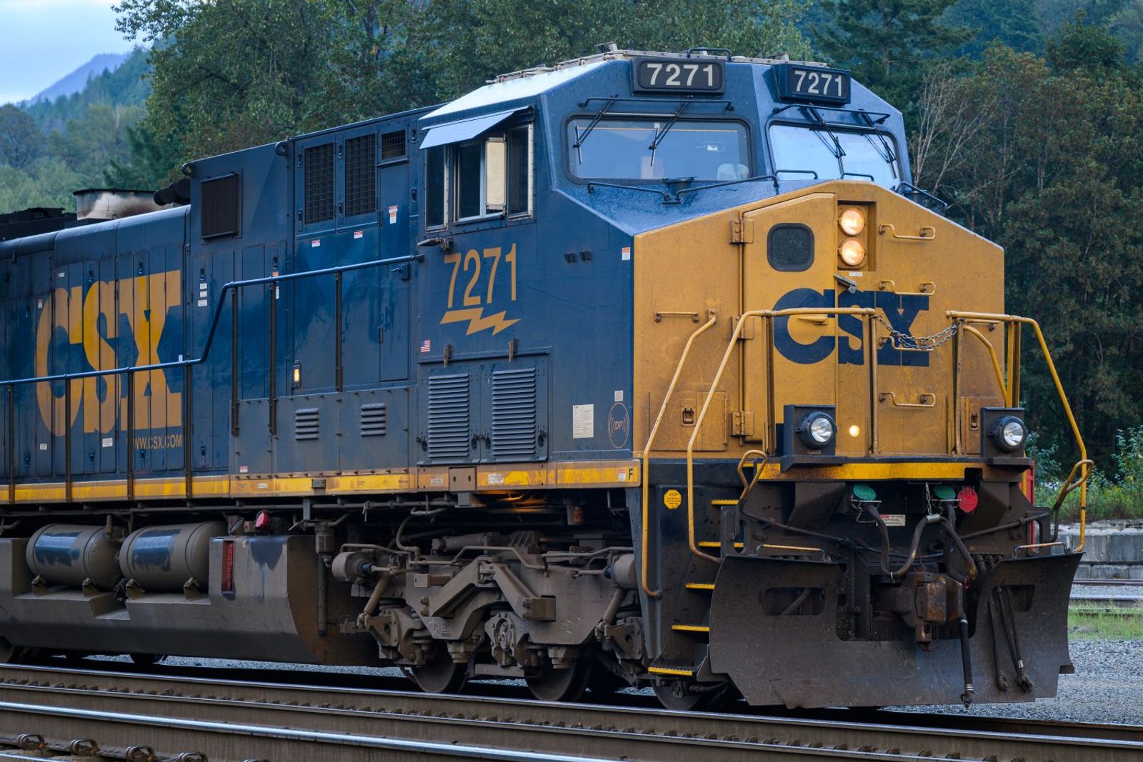 North American intermodal notches solid first half despite trade turmoil