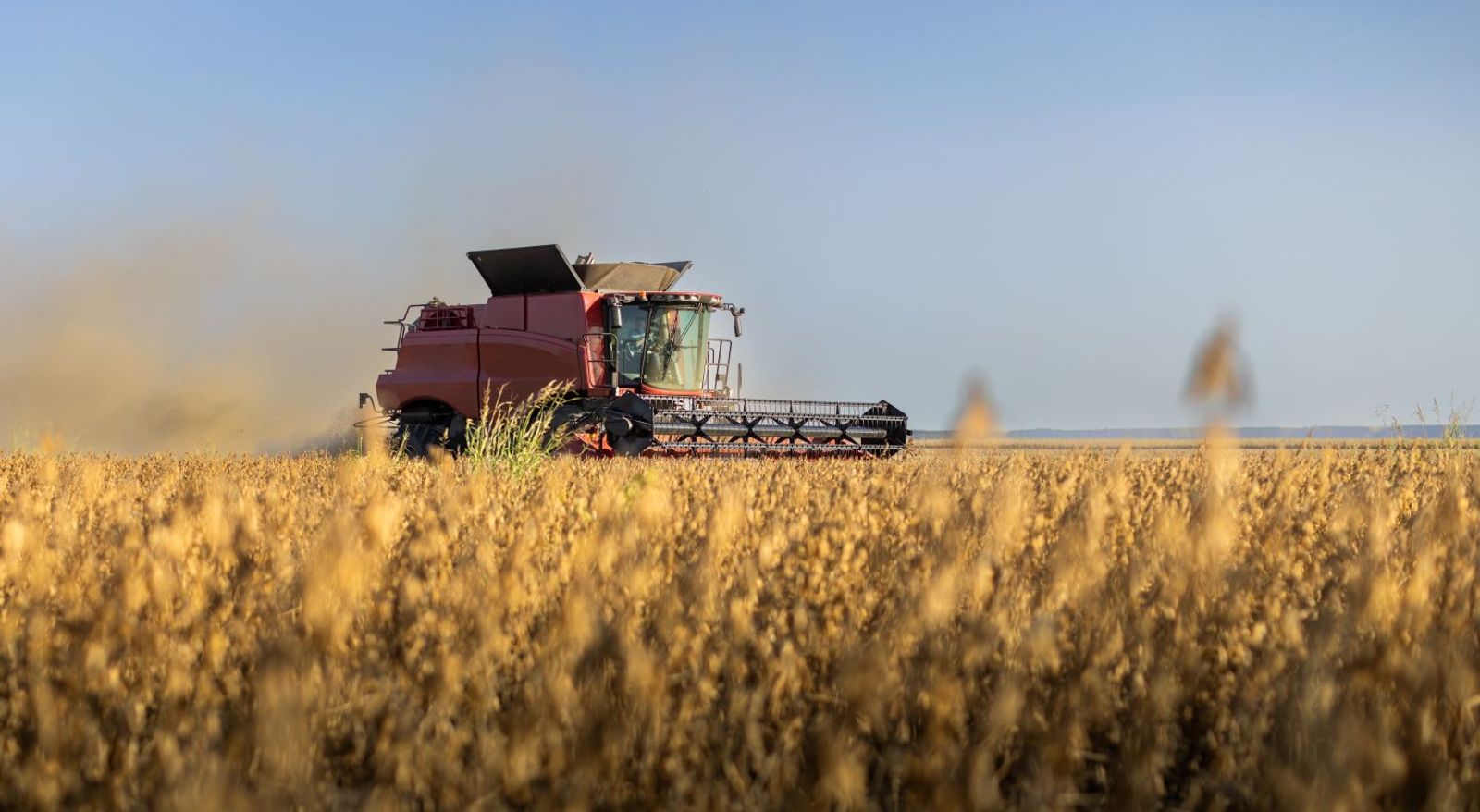 Tariff battle suppressing Chinese market for US soybean, meat exports