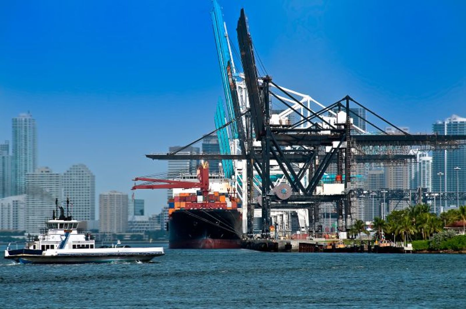 Trump taps two Floridians to serve on the FMC
