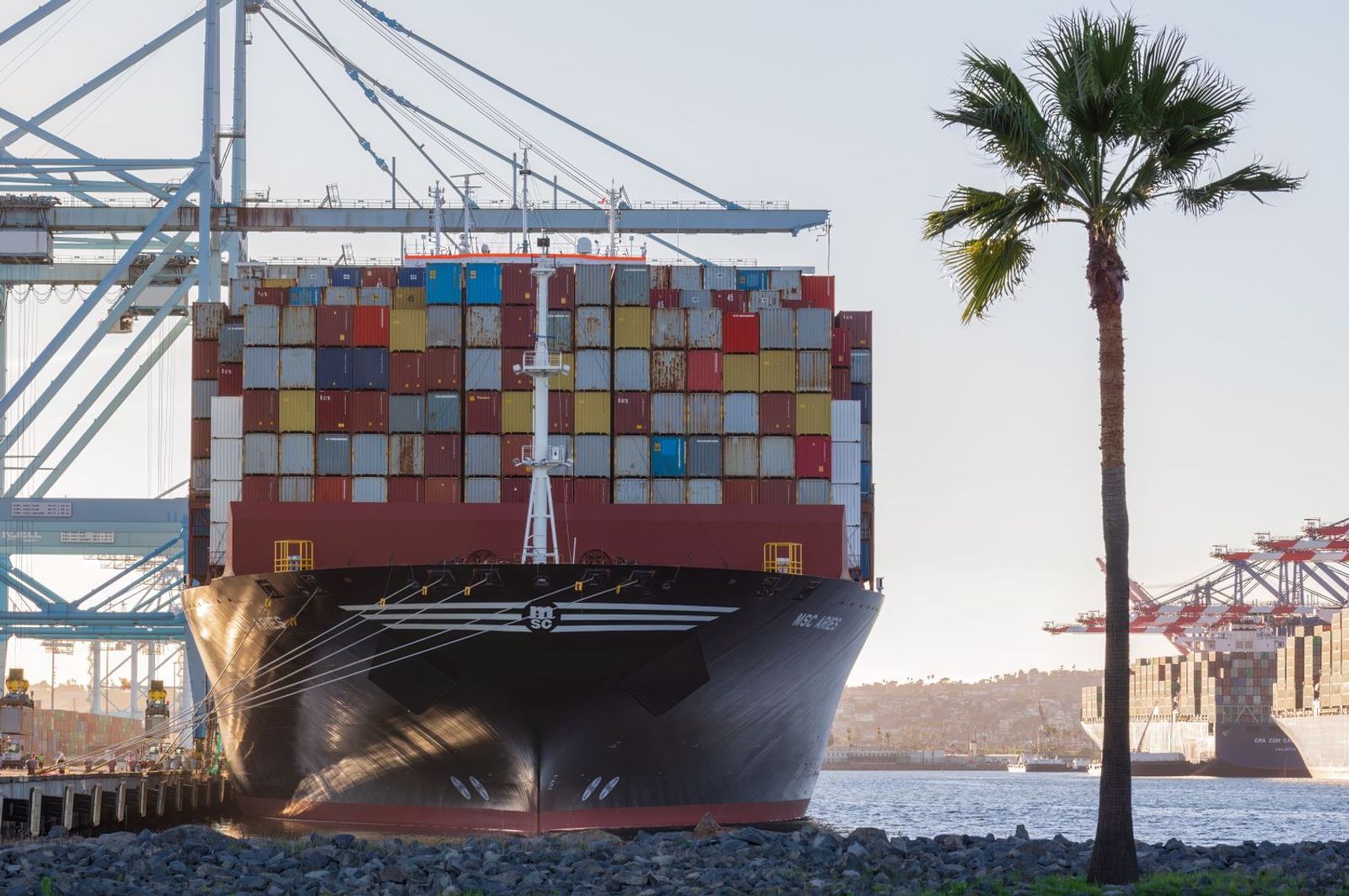 Disruptive force of AI will help usher in new era of container shipping