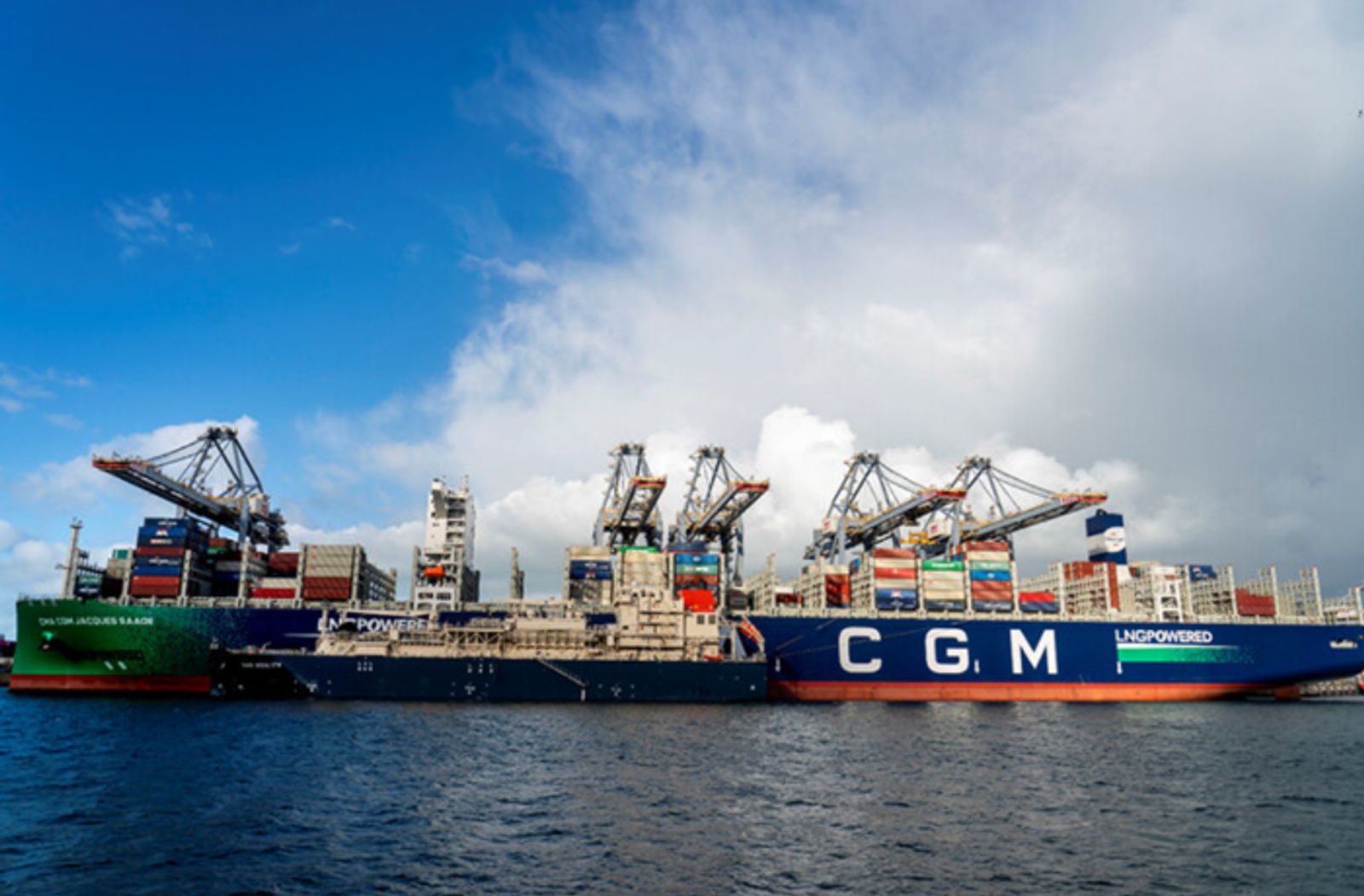 Ocean carrier order book dominated by LNG-capable ships: Bimco