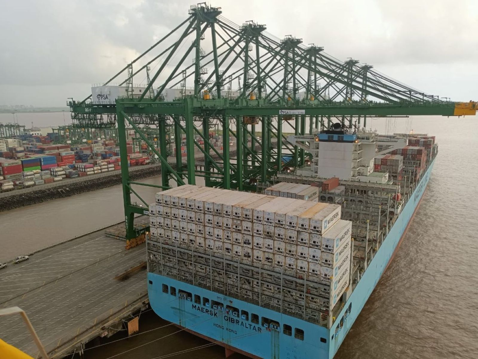Tariffs lead to sharp decline in Indian reefer exports to US: industry sources