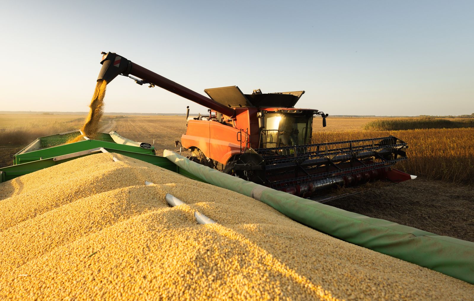 China trade talks give US soybean exporters hope