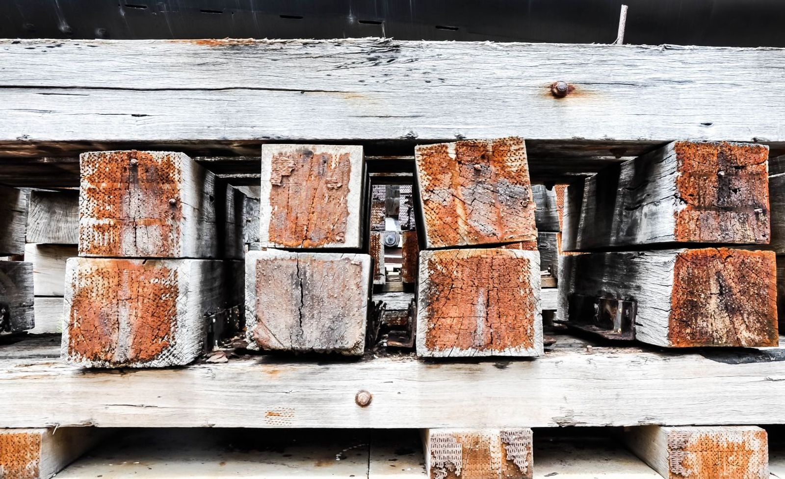 Penalties for pests found in project cargo packing adds to shipper woes