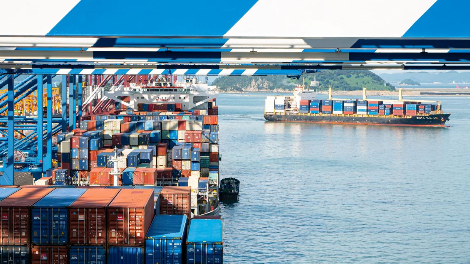 Smaller ocean carriers can still prosper in a world of hungry ‘predators’