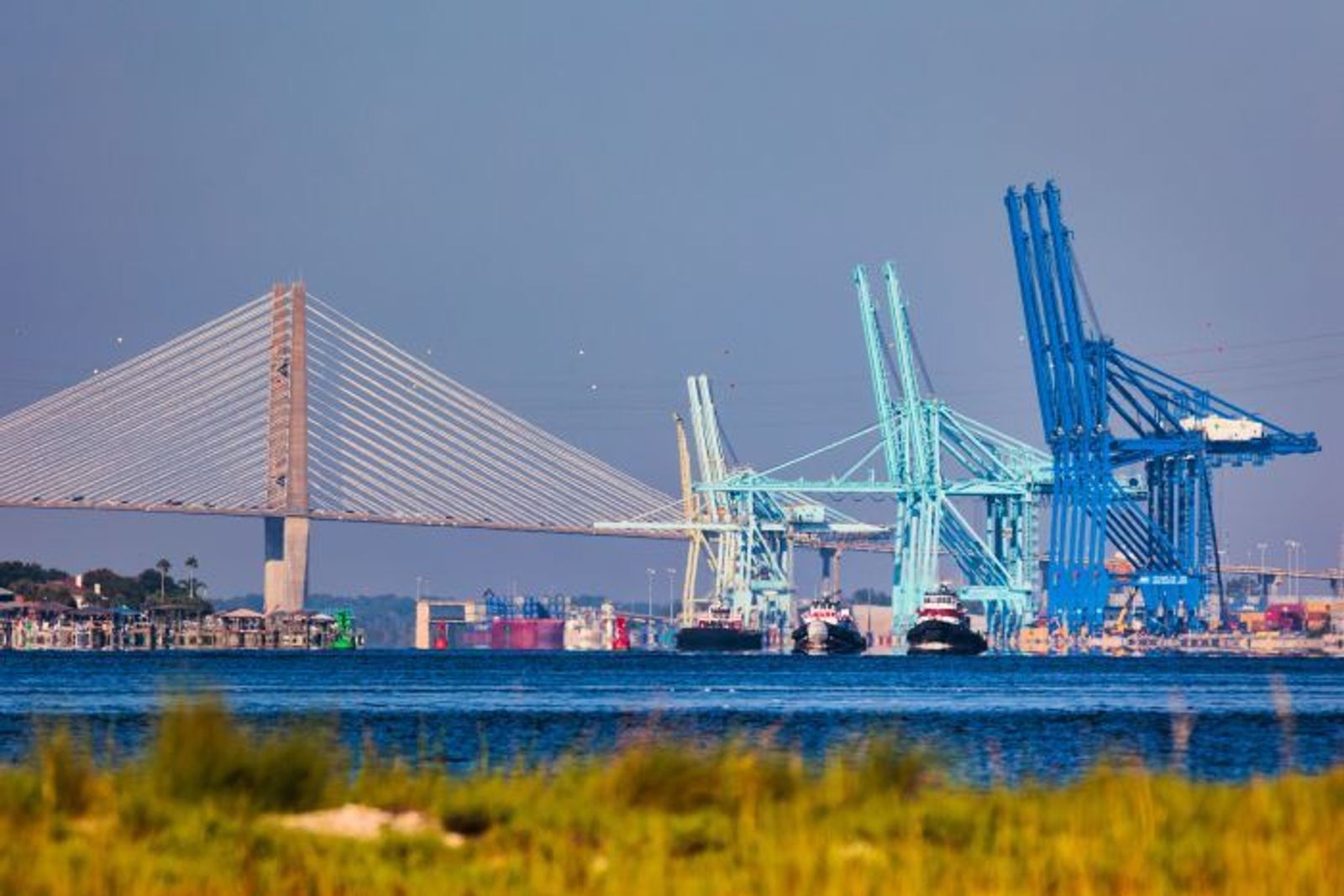 Ocean Alliance adding Vietnam calls to North America for 2026