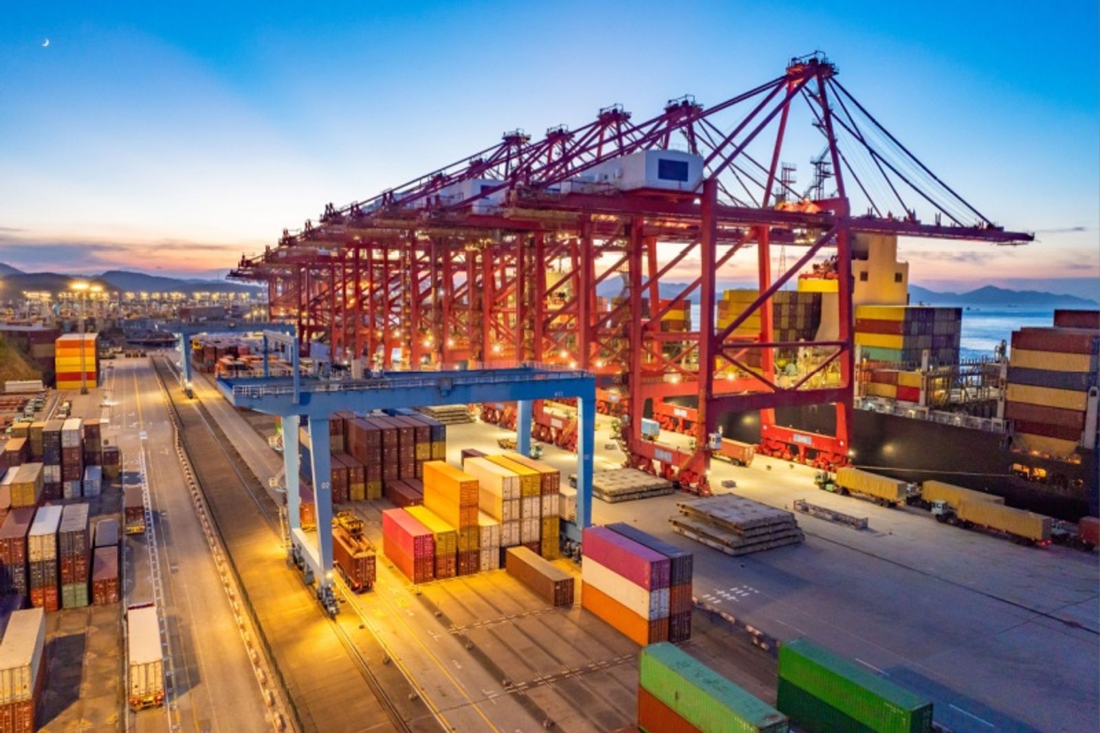 Freightos to trim up to 15% of headcount amid AI adaptation process