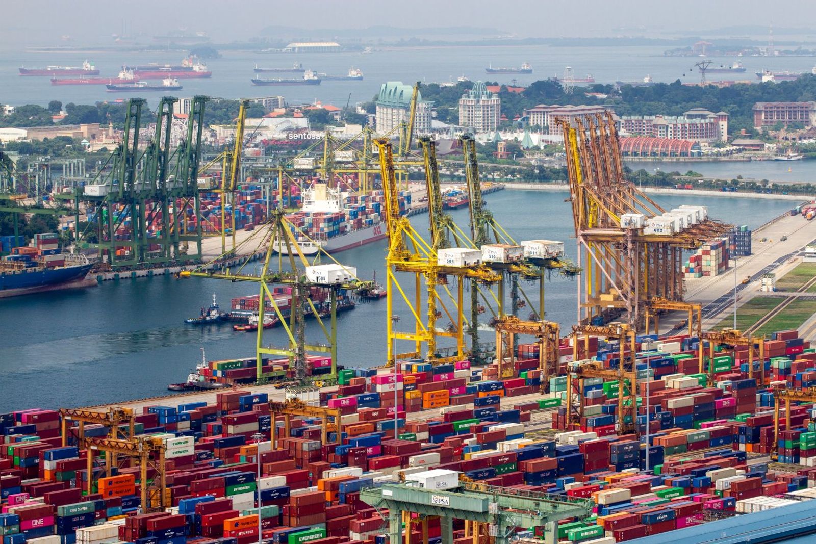 Container shipping faces blank sailings, falling demand from prolonged Iran war