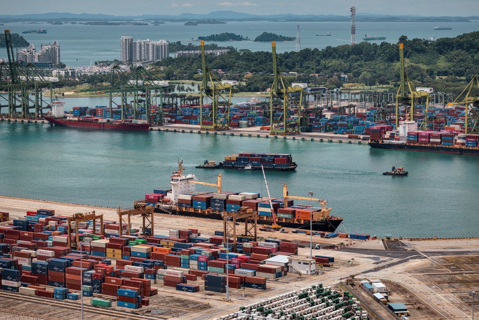 Tighter bunker supplies raising costs, but not impacting service: ocean carriers