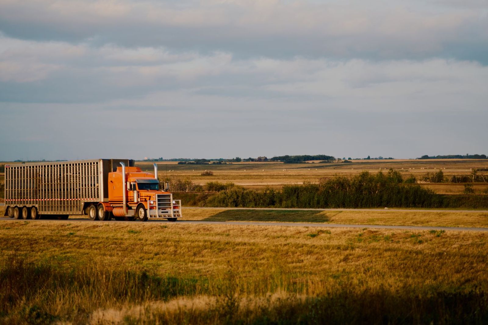 Canada’s ‘Driver Inc.’ model faces renewed scrutiny as Ottawa expands enforcement