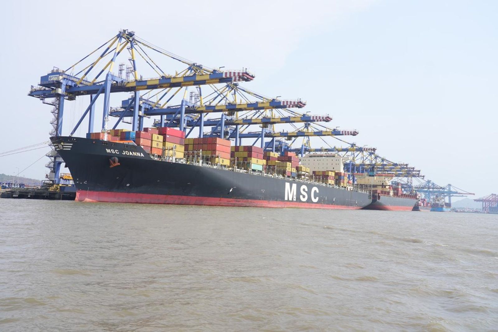 India-USEC ocean rates jump to 20-month high amid capacity pressures