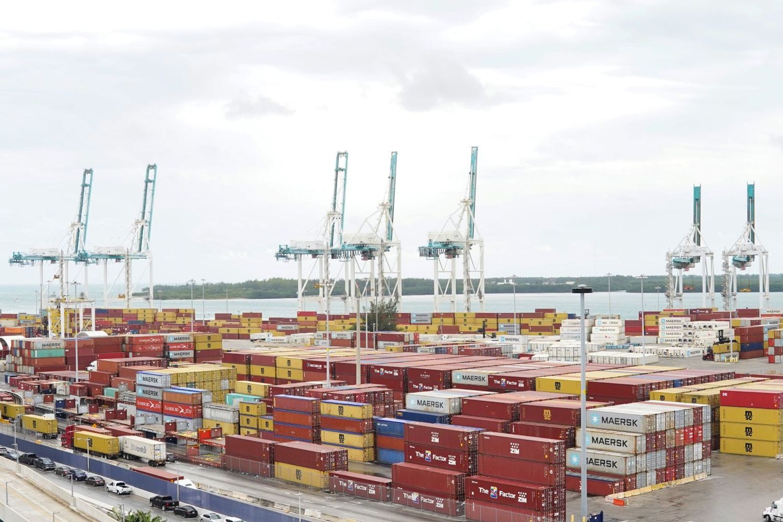 Freightos founder questions company’s direction, pushes for changes